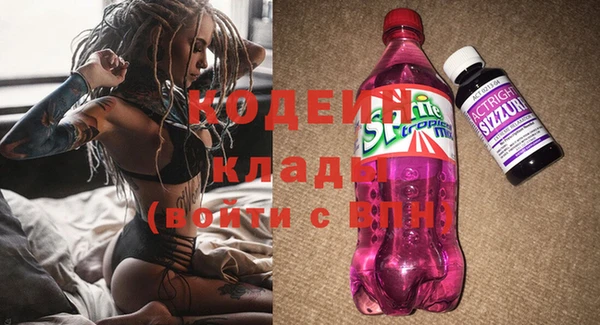 гашик Вязьма