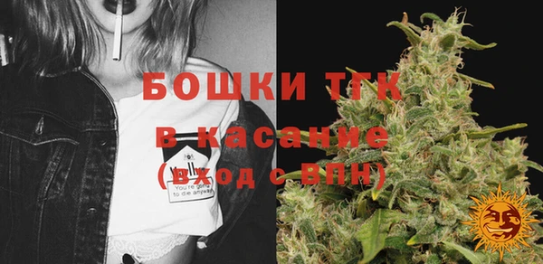 гашик Вязьма
