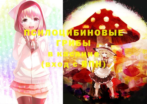 гашик Вязьма