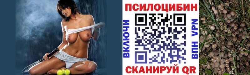 купить Зверево Псилоцибиновые грибы Psilocybe